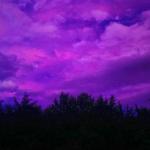تکست می | TEXTME